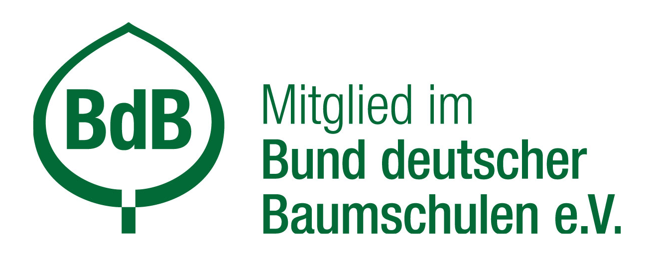 Baumschule e.V.